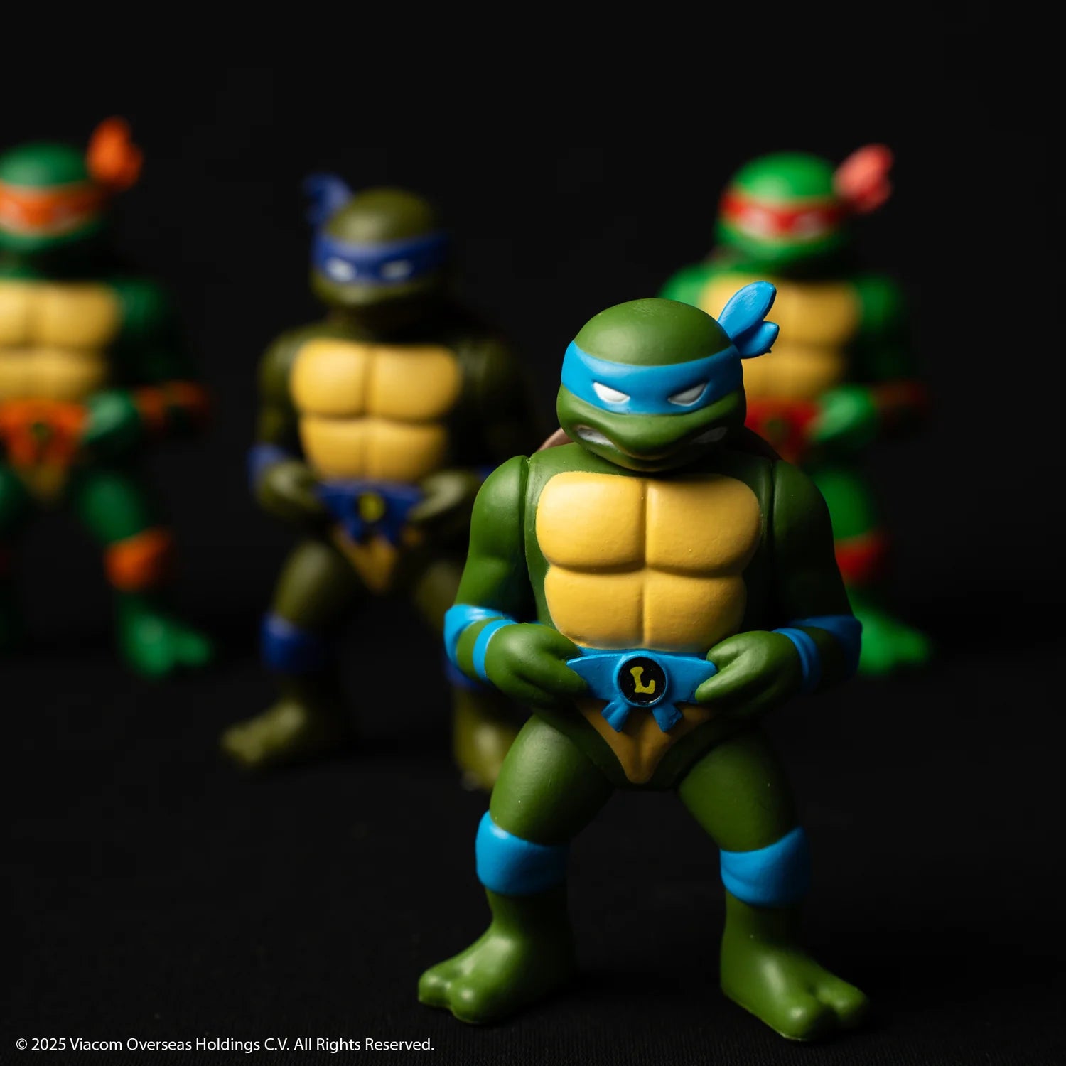 Limited Edition RXH TMNT Turtle Walker